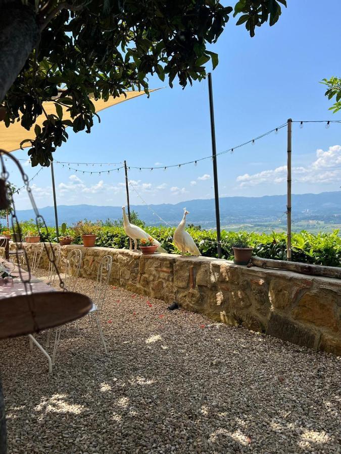 Agriturismo I Millepini Case Malva Екстер'єр фото